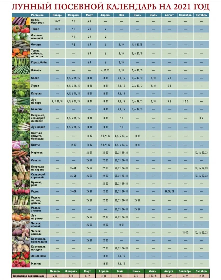 Посевной лунный календарь на 2024 год таблица Календарь посадок спб