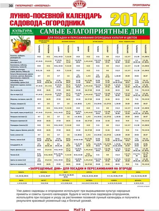 Посевной лунный календарь посадок Новости