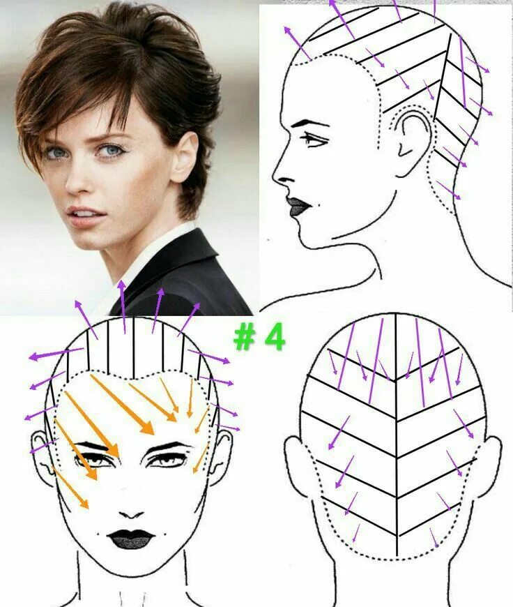 Пошагово женская короткая стрижка видеоурок Pin on ПАРИКМАХЕР in 2024 Hair cutting techniques, Medium hair cuts, Hair academ