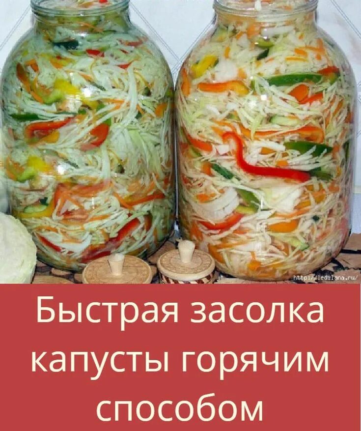 Пошаговый рецепт с фото капусты на зиму Быстрая засолка капусты горячим способом Ethnic recipes, Food, Fresh rolls