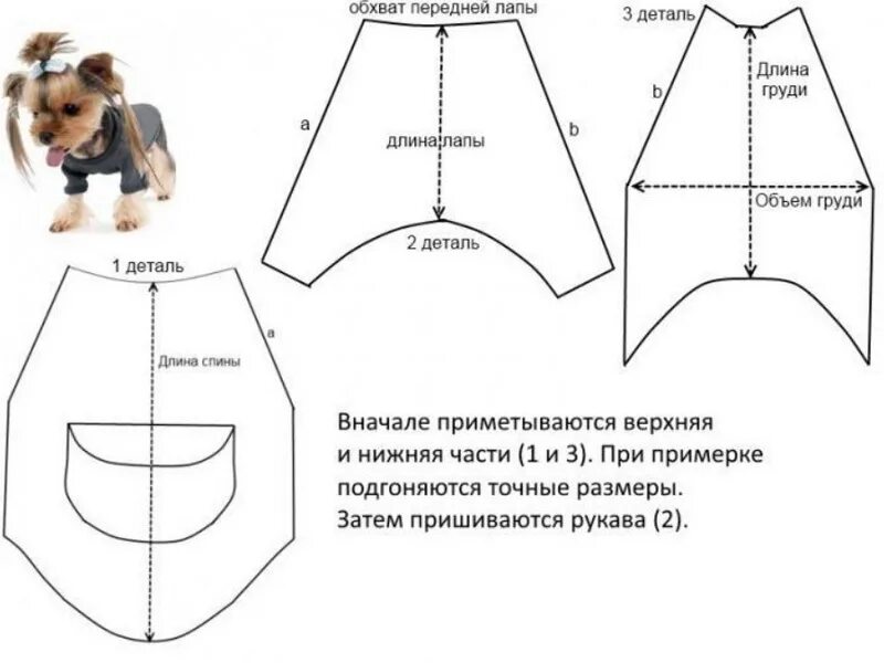 Пошив одежды для собак выкройки Летняя одежда для собак мелких пород, летняя одежда для собак мелких пород своим