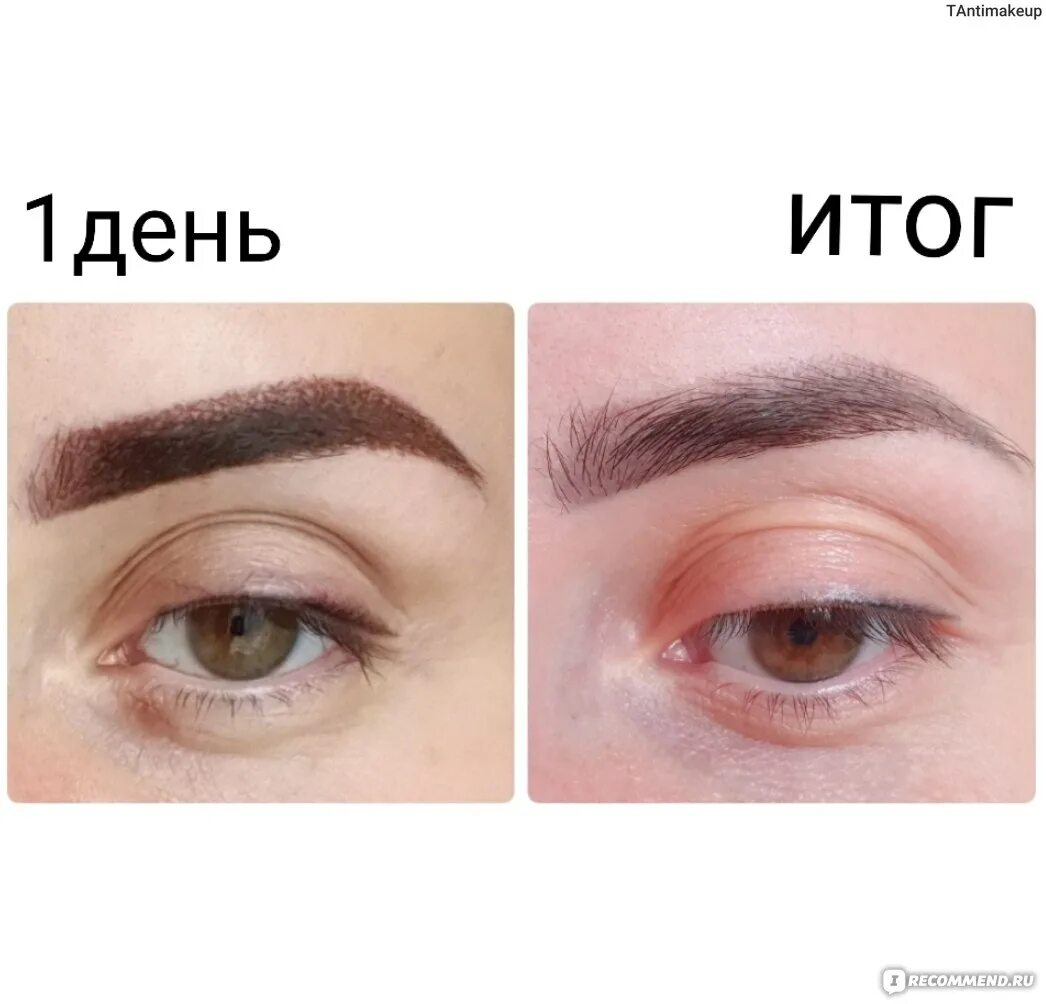 После татуажа брови становятся Что делать после татуажа бровей