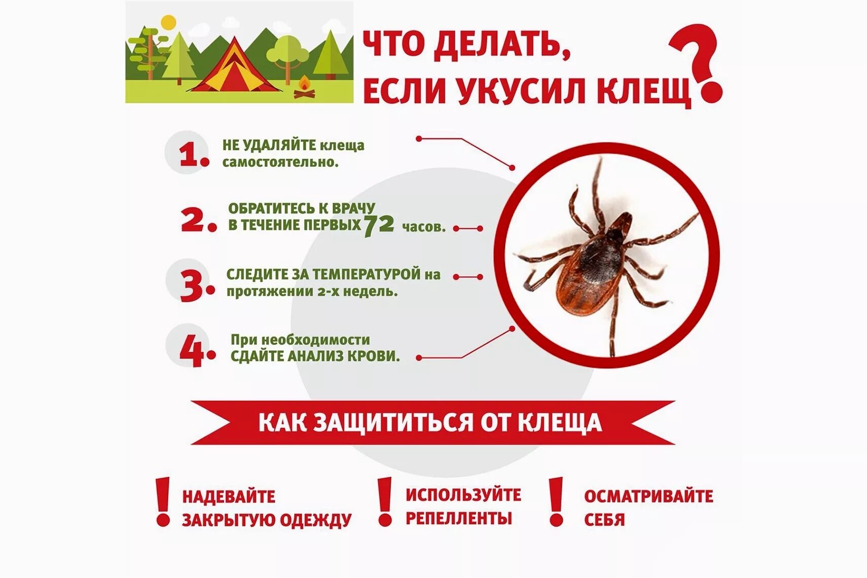 После укуса клеща какие симптомы фото Новости город Майкоп