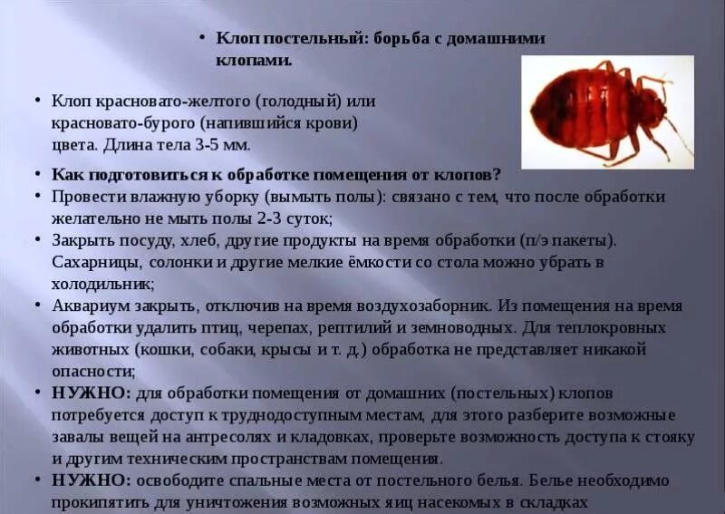 После укуса клопа как выглядит укус фото Дезинфекционные, дезинсекционные и дератизационные работы