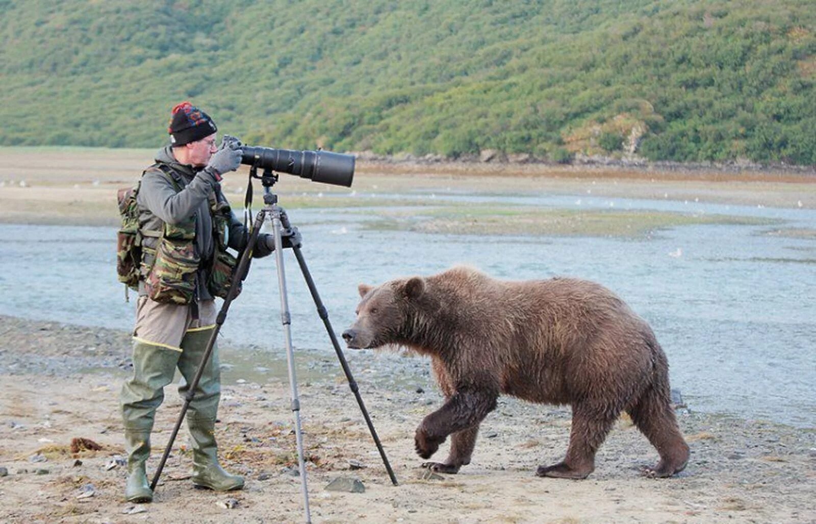 Последнее фото фотографа с медведем Фотоаппарат, муки выбора - Страница 10