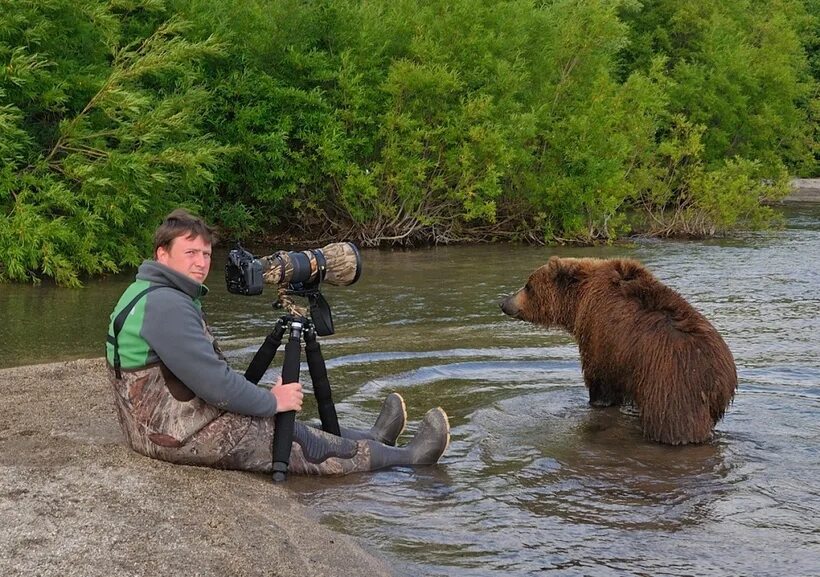 Последнее фото фотографа с медведем 13 потрясных фото животных от одного из лучших фотографов-анималистов современно