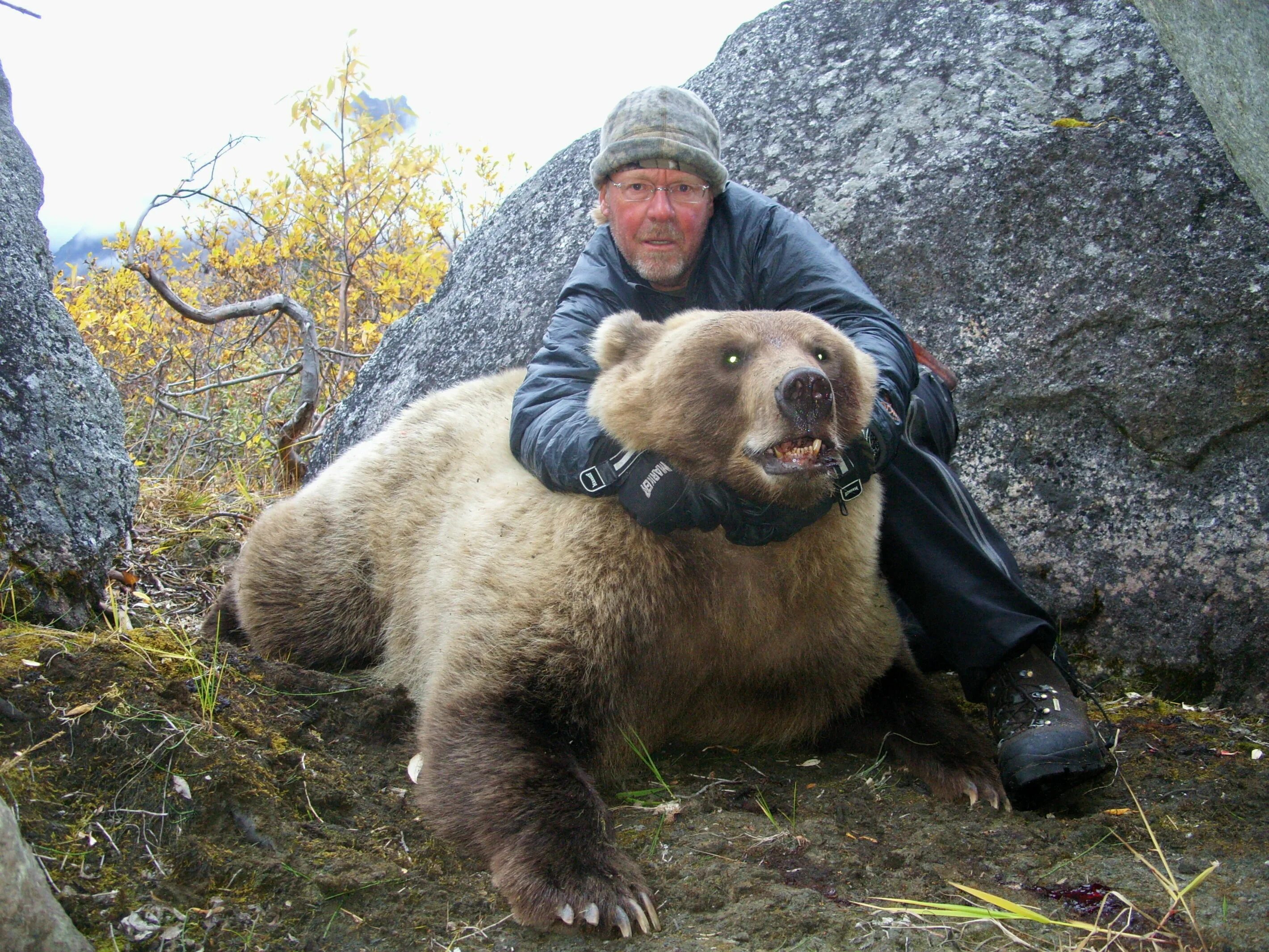 Последнее фото фотографа с медведем К чему снится убитый медведь женщине: найдено 87 изображений