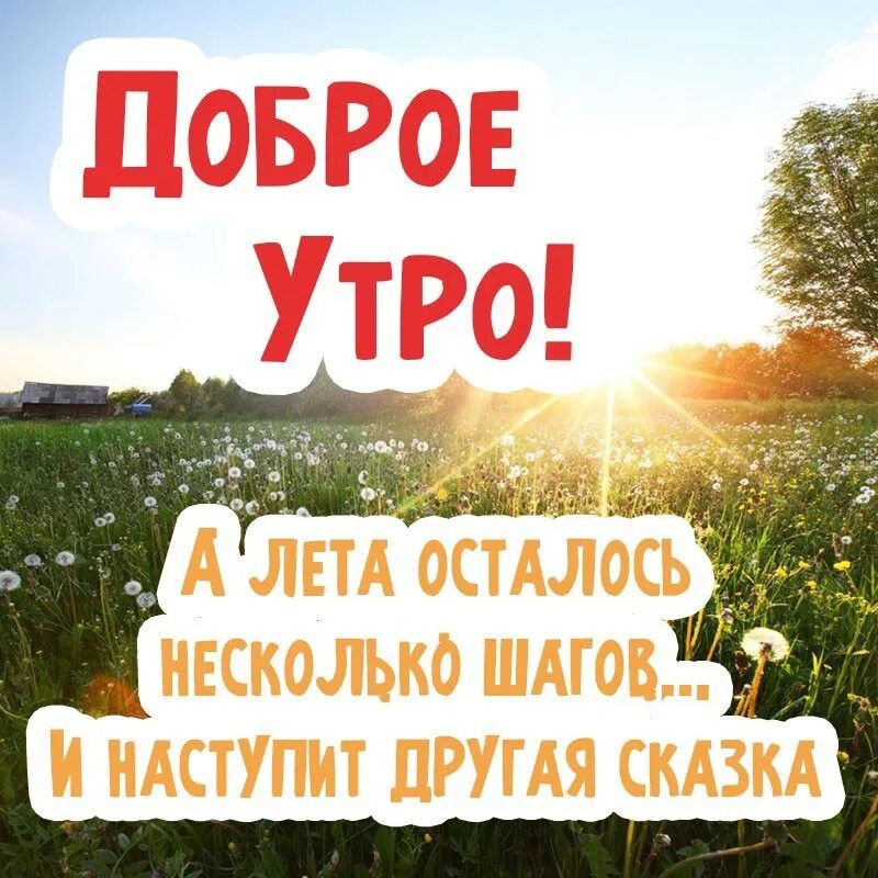 Последнее утро лета картинки прикольные #доброеутротосно #Тосно #Тосненскийрайон #врачитосно 2023 Медицинский центр "Здо