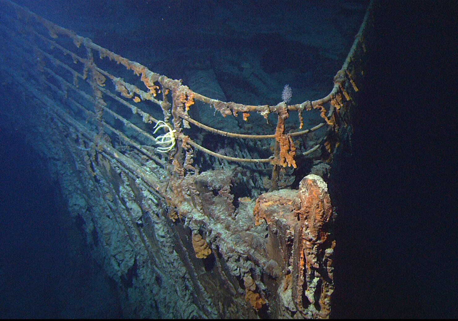 Последние фото титаника под водой Файл:Titanic wreck bow.jpg - Википедия