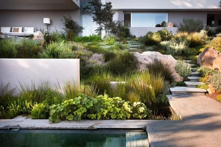 Последние новости ландшафтного дизайна фото Сад в средиземноморском стиле Contemporary garden design, Garden landscape desig