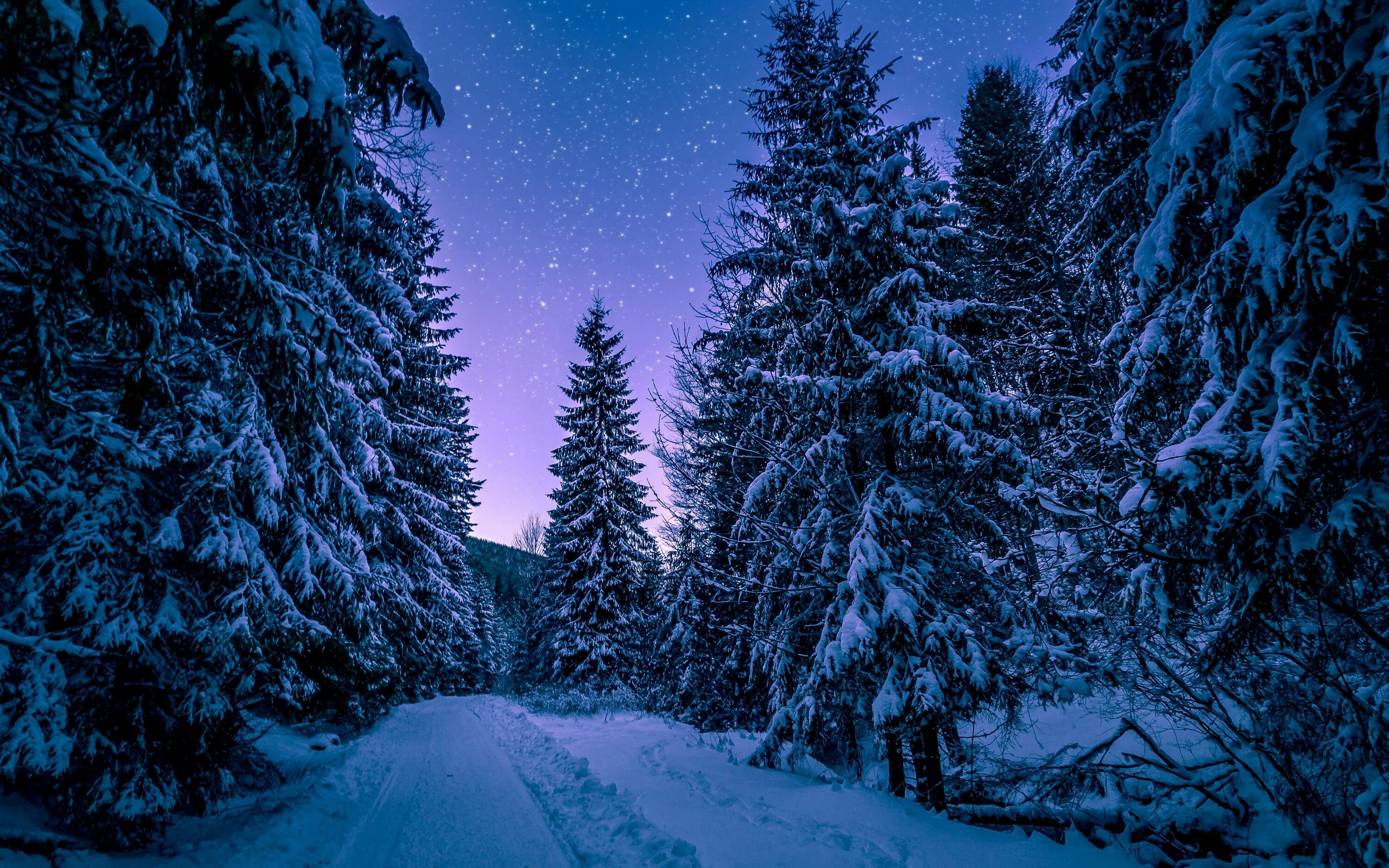 Последняя зима фото Download wallpaper 3840x2400 winter, forest, road, snow, starry sky 4k ultra hd 