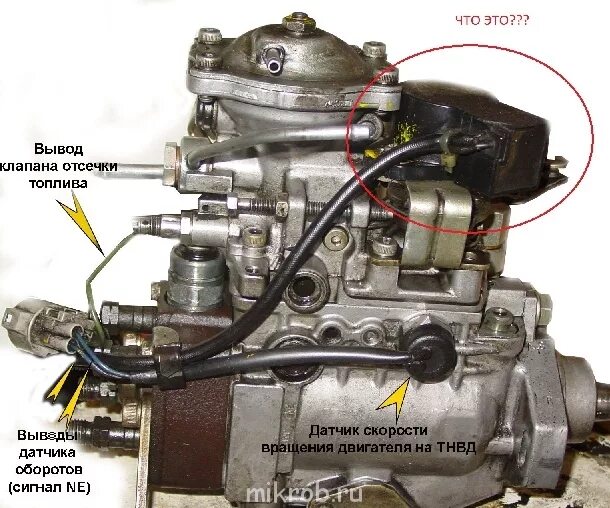 Последовательность подключения топливопровода тнвд двигатель 2 с Подскажите что за датчик? - Клуб любителей микроавтобусов и минивэнов