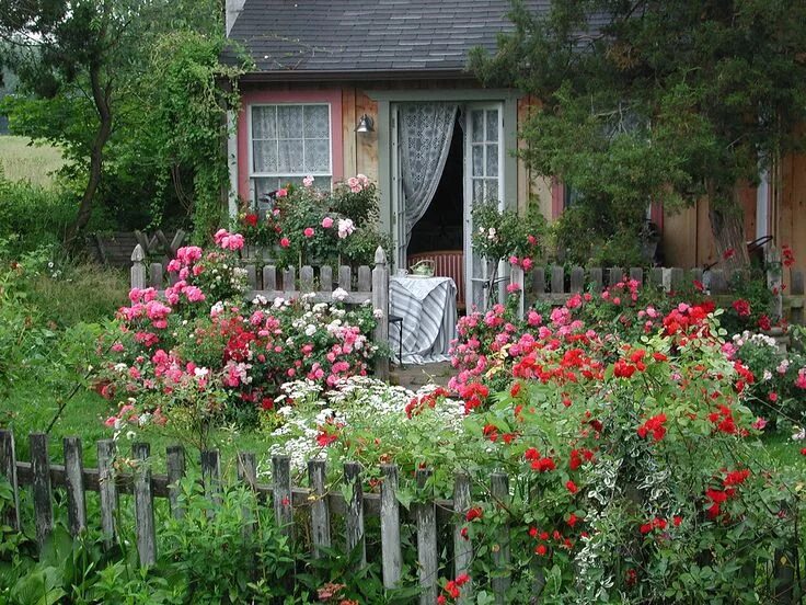 Посмотреть дачи фото All sizes Cottage Garden with Flower Carpet roses Flickr - Photo Sharing! Cottag