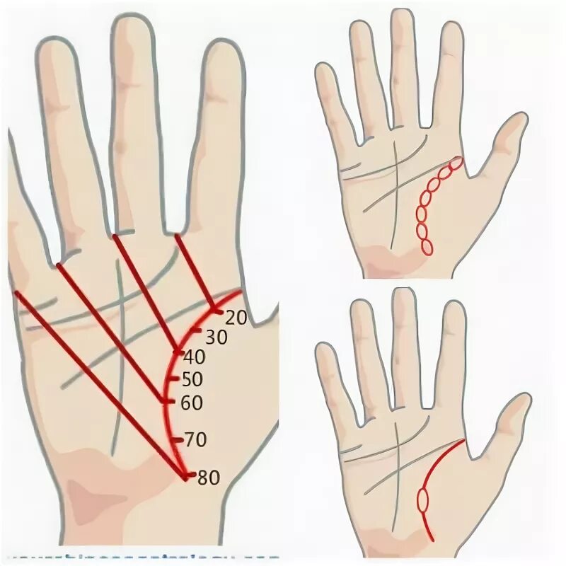 Посмотреть линию жизни на руке фото Линия жизни на ладони расскажет о продолжительности жизни Хиромантия, Линия, Жиз