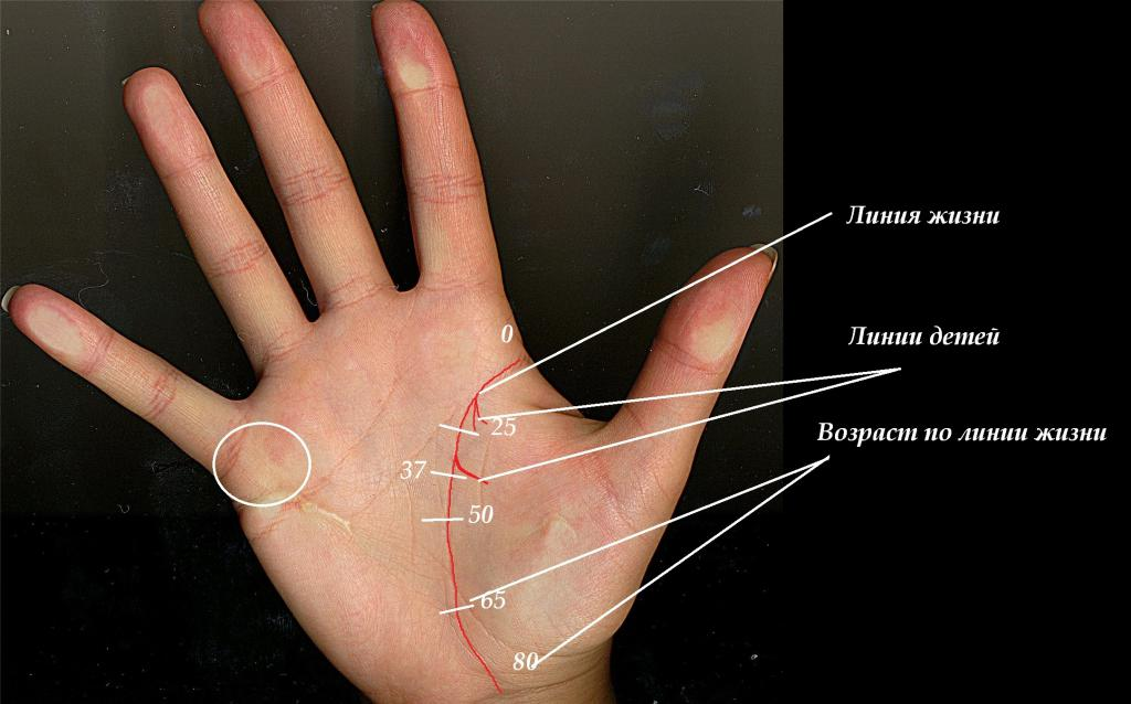 Посмотреть линию жизни на руке фото ХИРОМАНТИЯ КАК ТО ТАК... Дзен