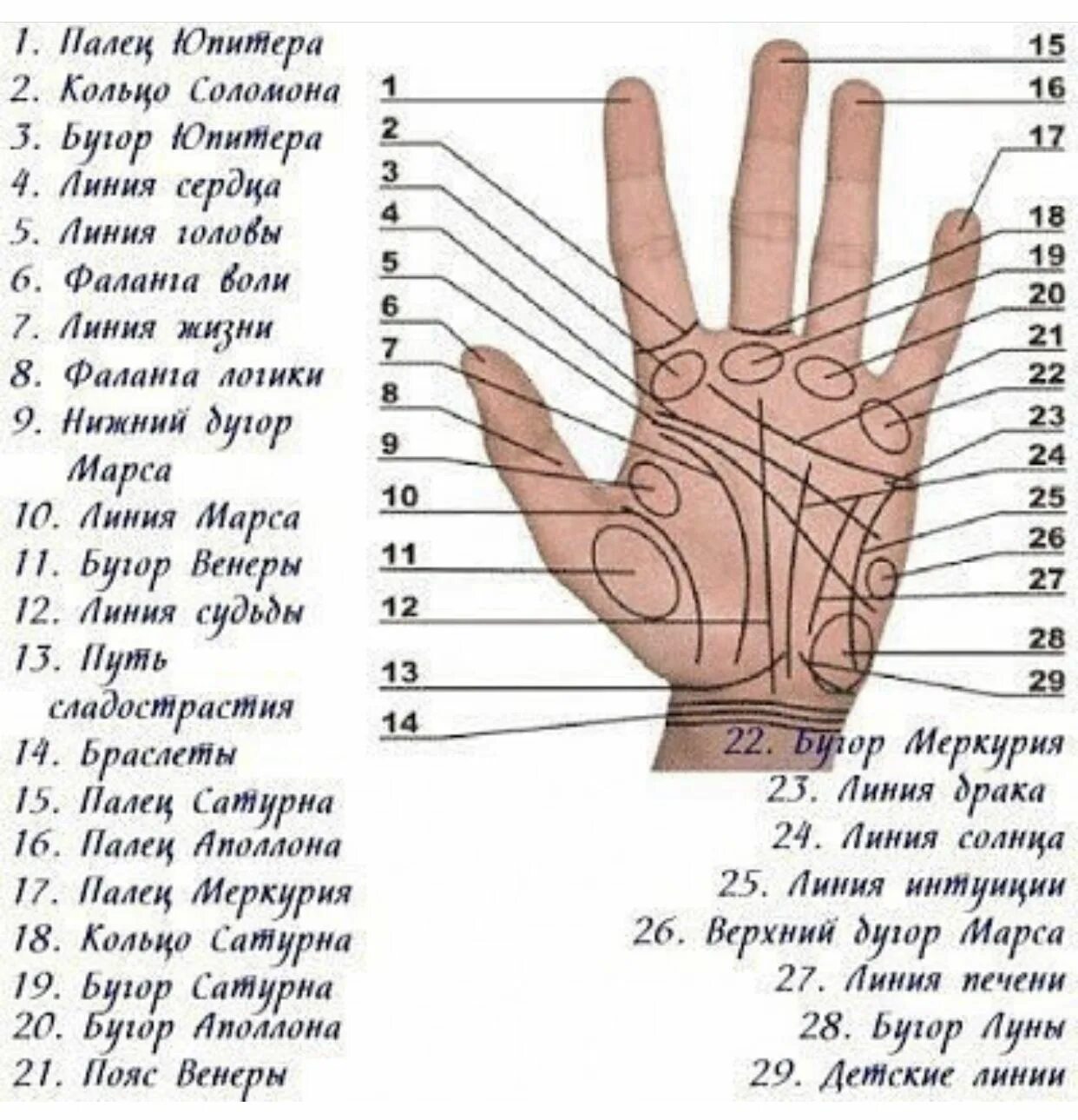 Посмотреть линию жизни на руке фото Pin on Хиромантия Palmistry, Palm reading, Astrology remedy