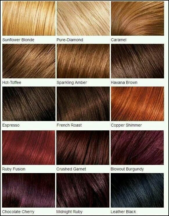 Посмотреть цвета волос фото Color palette Hair color chart, Loreal hair, Red hair color chart