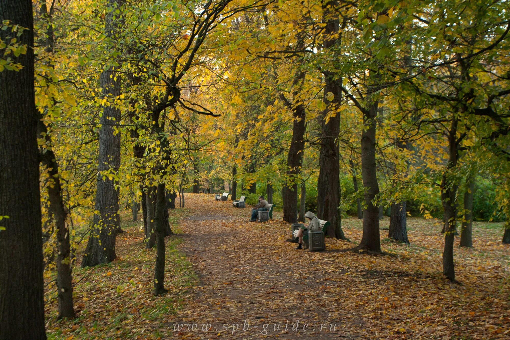 Пост об осень на елагином острове фото Золотая осень на Елагином острове - 50 фото