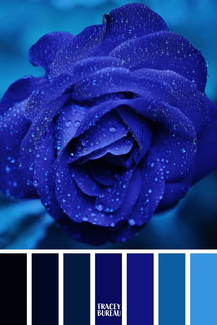 Поставить синий цвет на фото Color Inspired Palette #46 #Color #Inspired #Palette #46 Color palette, Color ba