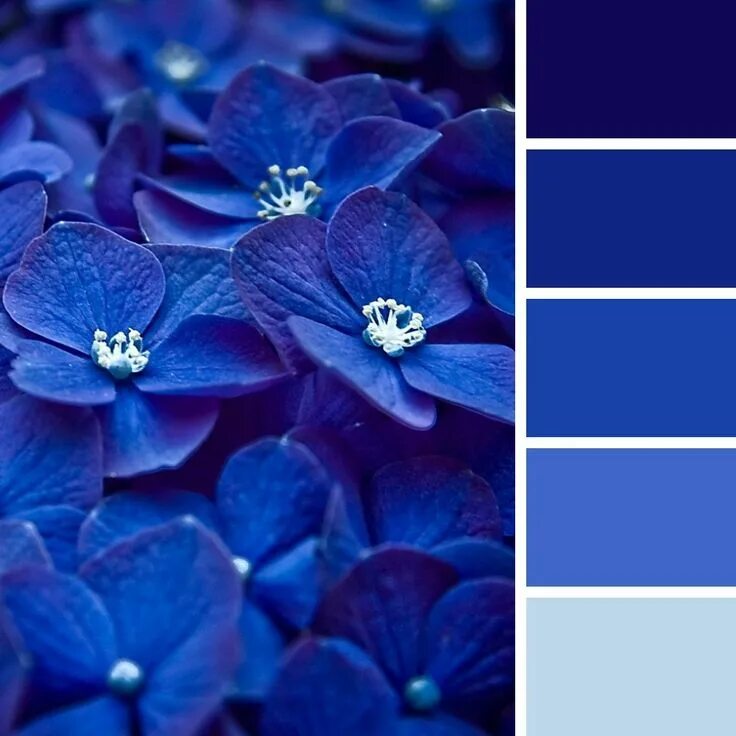 Поставить синий цвет на фото Синий цвет в психологии Color palette design, Blue color schemes, Digital paint 