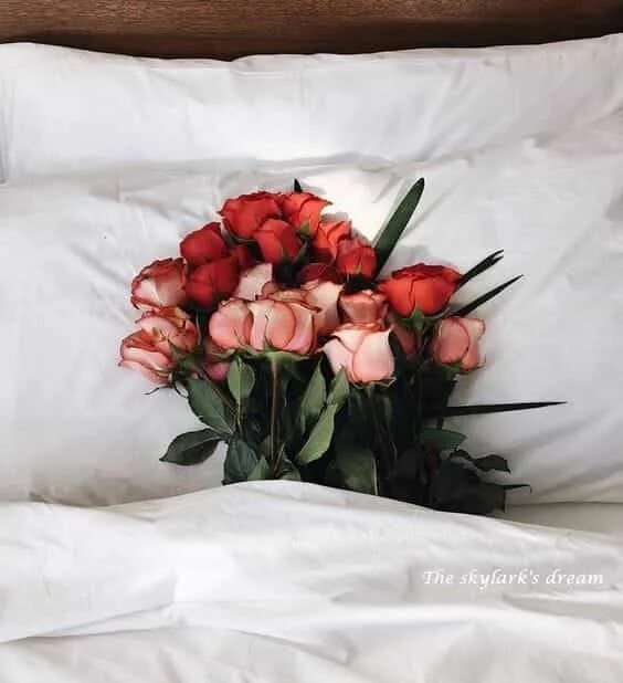 Постельные фото цветов Uploaded by llbboozer_1. Find images and videos about flowers, rose and bed on W