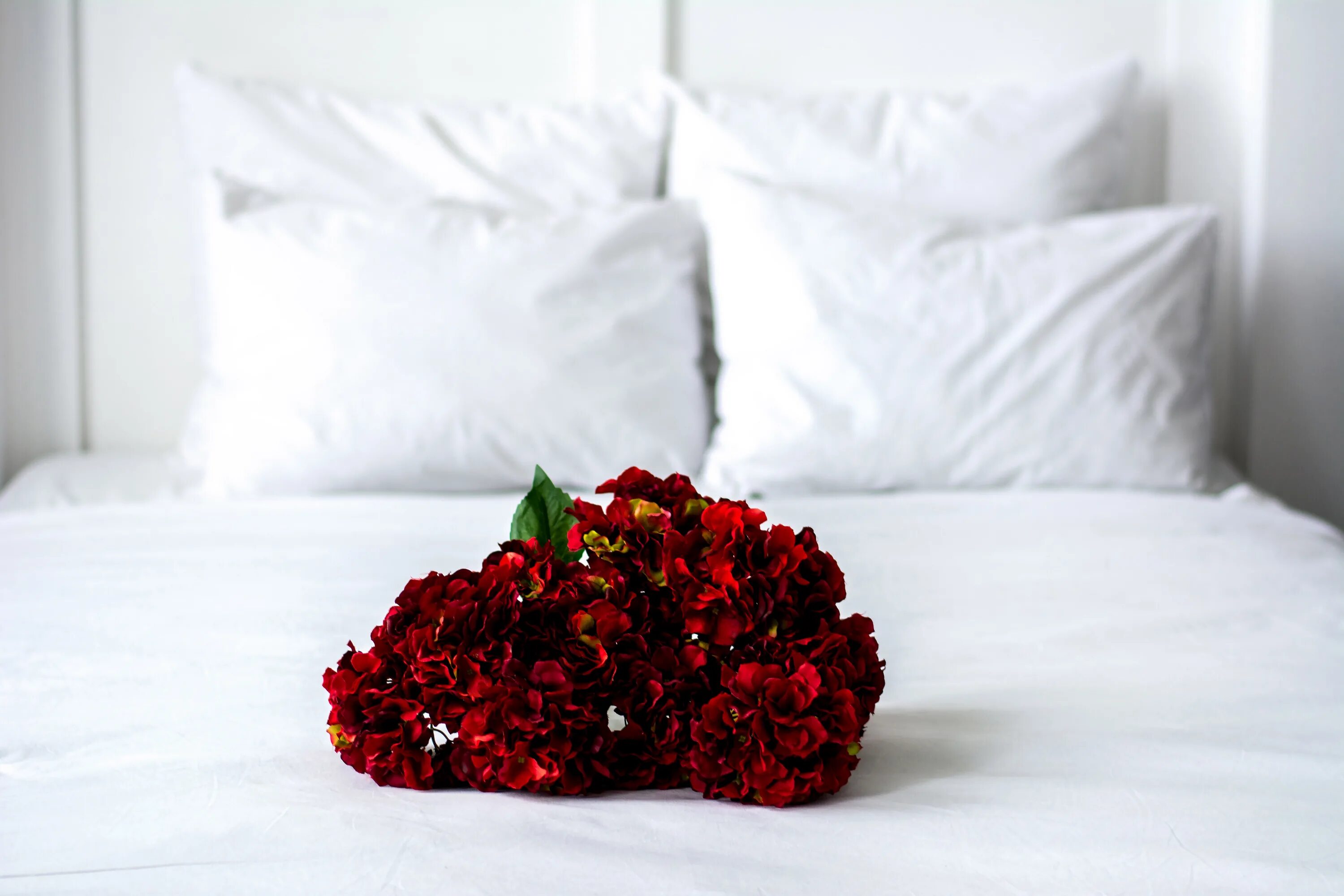 Постельные фото цветов Download wallpaper light, flowers, red, wall, box, gift, bed, interior, section 