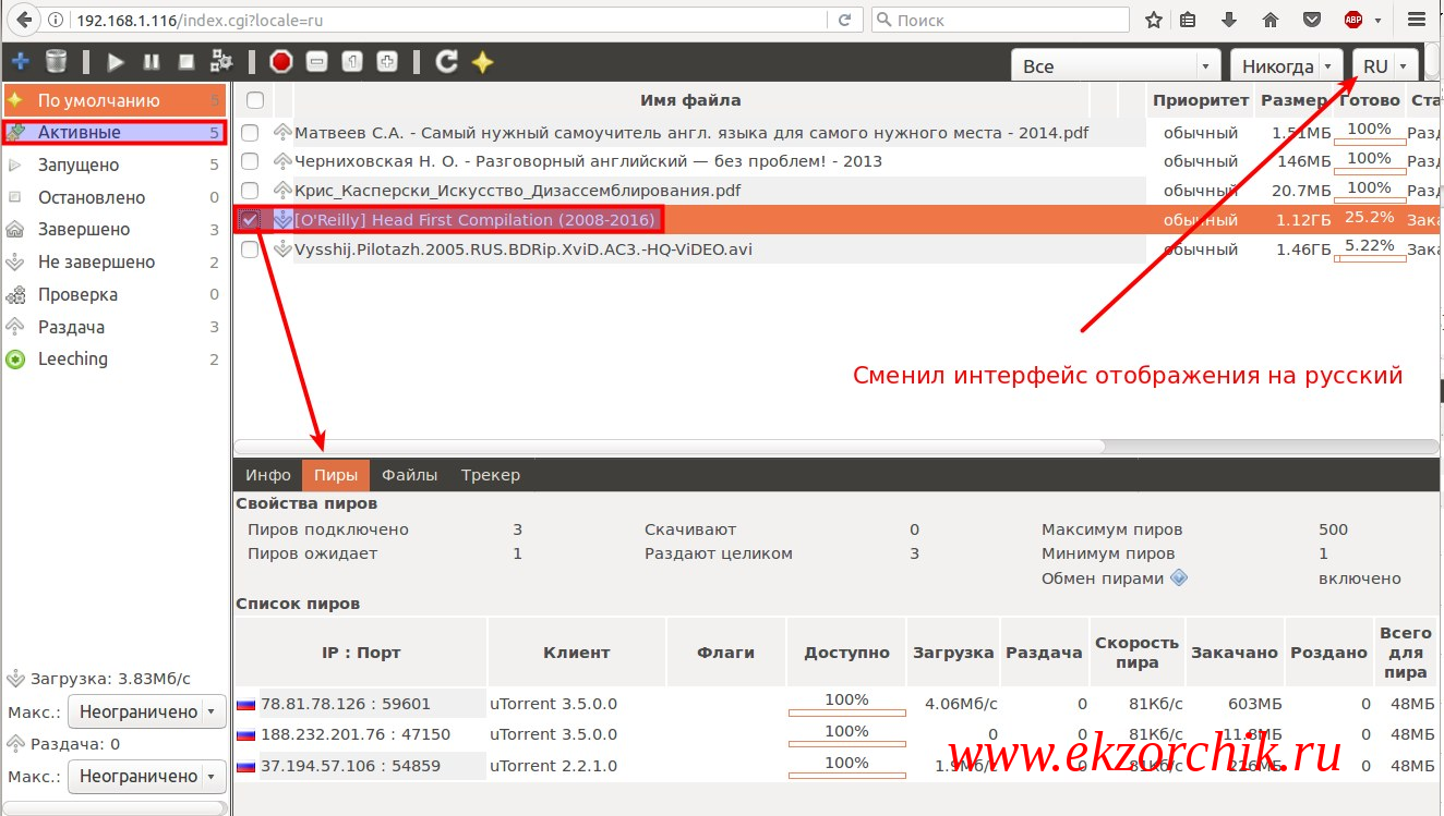 Постоянное подключение к пирам torrent 2024 Web-интерфейс управления Torrent’ами на Raspberry Pi 3 Model B - Реальные заметк