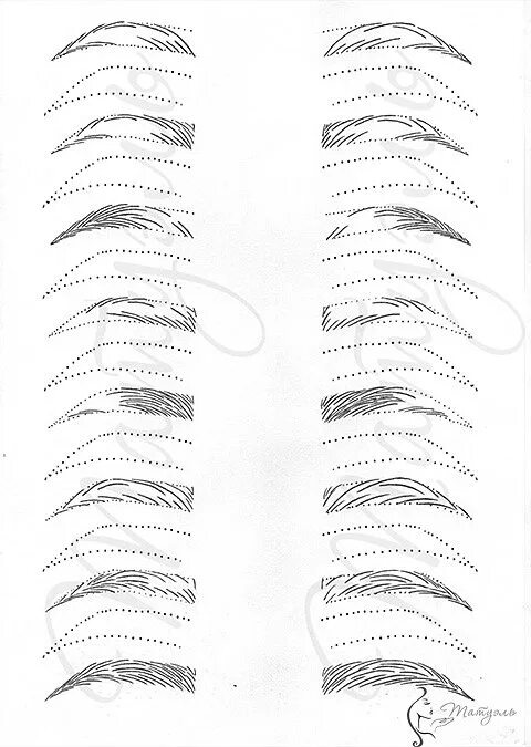Построение эскиза бровей в перманентном макияже Картинки ЭСКИЗ БРОВЕЙ ДЛЯ ПЕРМАНЕНТНОГО
