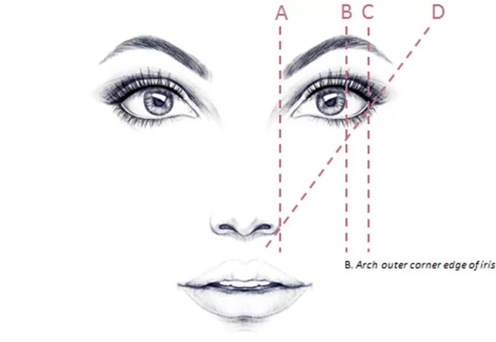 Построение эскиза бровей в перманентном макияже 3 easy steps to perfect eyebrow shaping Perfect eyebrows, Perfect eyebrow shape,