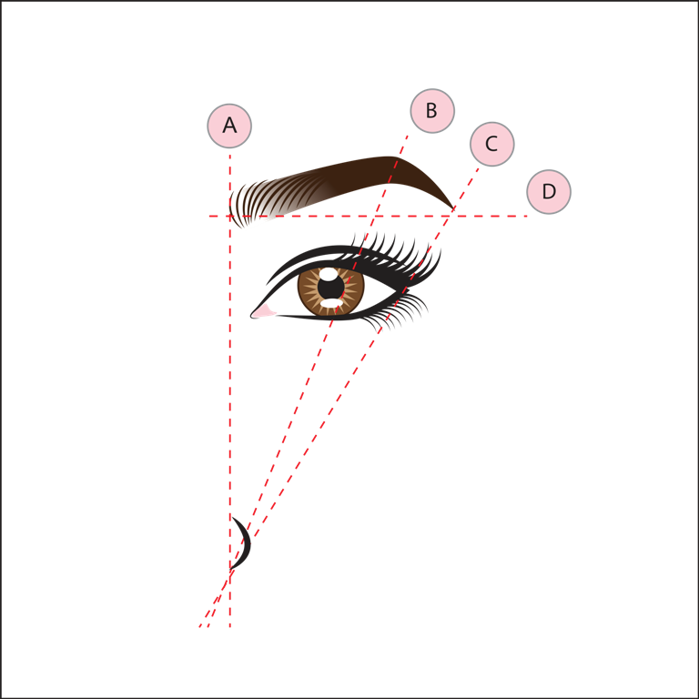 Построение эскиза бровей в перманентном макияже cool Как правильно красить брови карандашом и тенями - Полный обзор Читай больше