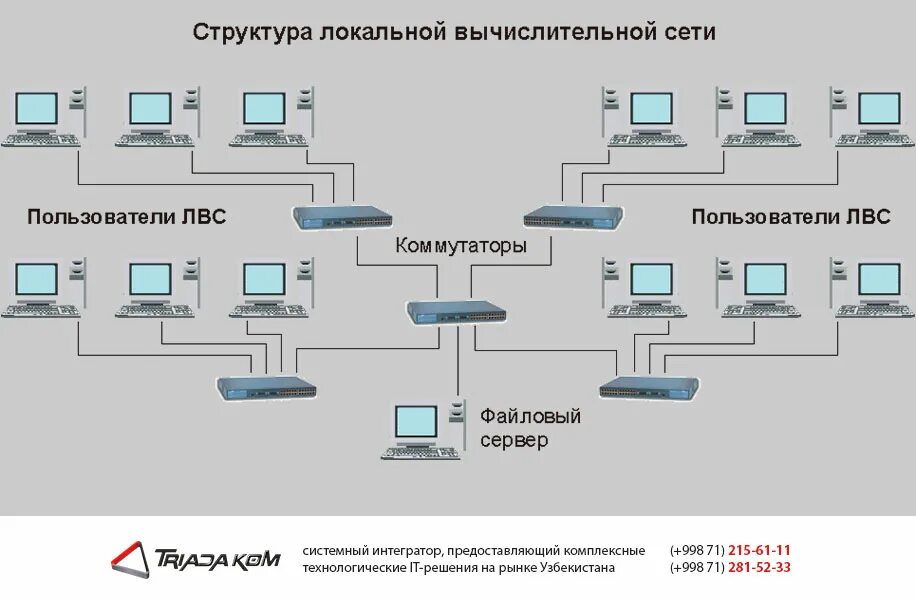 Построение схемы локальной сети программа Картинки ПРОТОКОЛЫ ЛВС