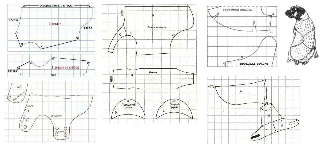 Построение выкройки одежды для собак средних пород выкройка комбинезона для собаки удобный покрой для девочки: 2 тыс изображений на