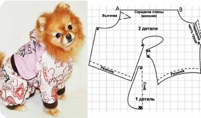 Построение выкройки основы одежды для собак Выкройки одежды для маленьких пород собак, какая одежда нужна, как сделать, каку