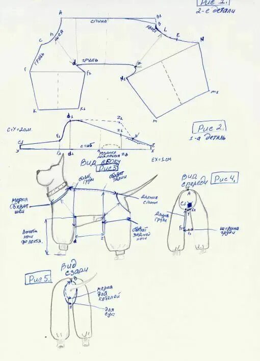 Построение выкройки основы одежды для собак комбинезон для лабрадора выкройка: 9 тыс изображений найдено в Яндекс.Картинках 