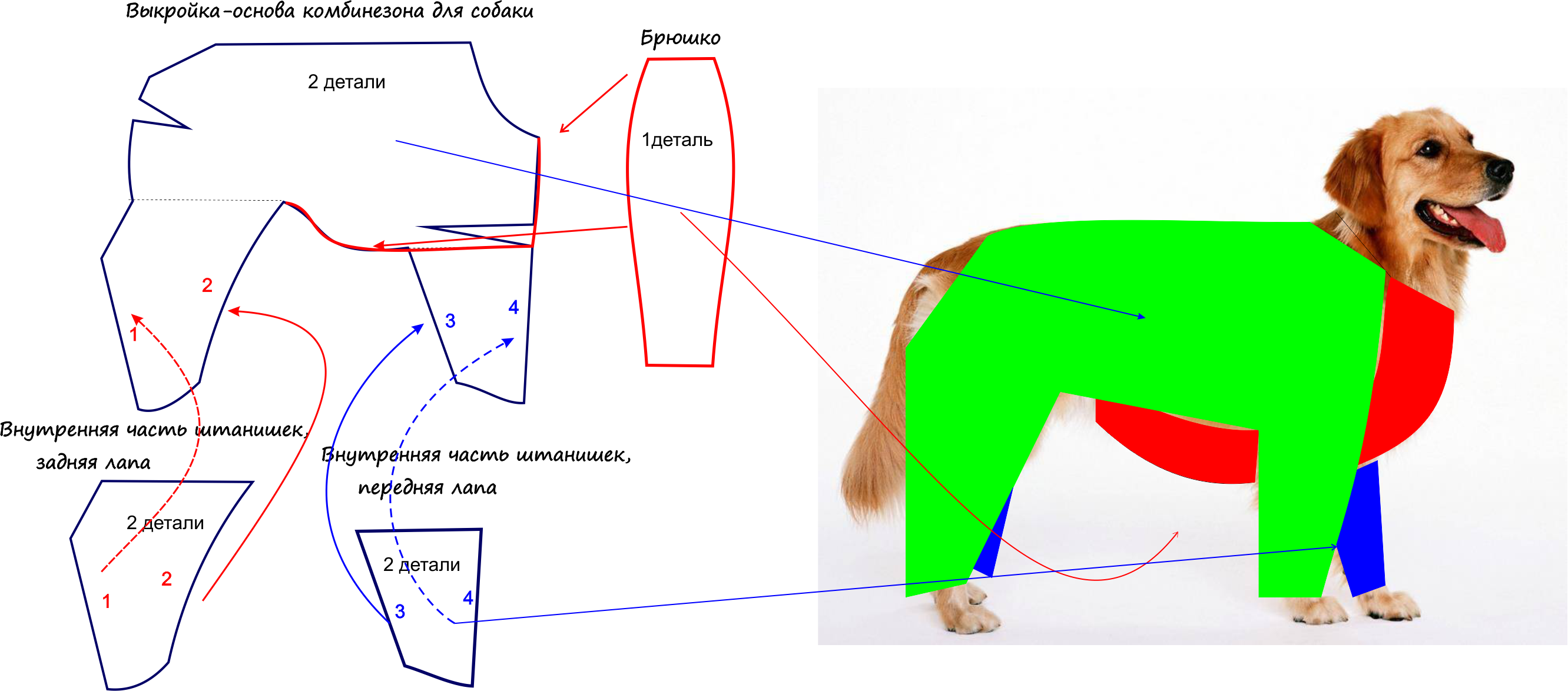 Построение выкройки основы одежды для собак Базовая выкройка для собак Шить просто - Выкройки-Легко.рф Dog clothes diy, Dog 