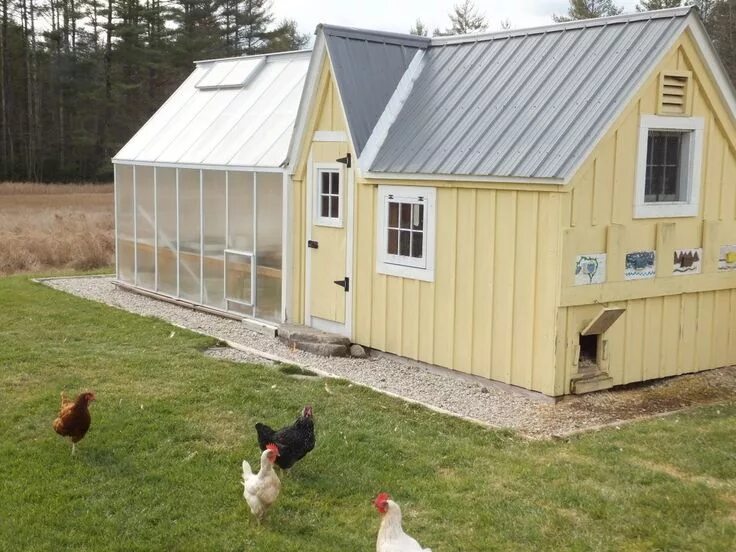 Построить курятник на 20 кур фото Pin on Coops Chicken shed, Building a chicken coop, Chicken coop