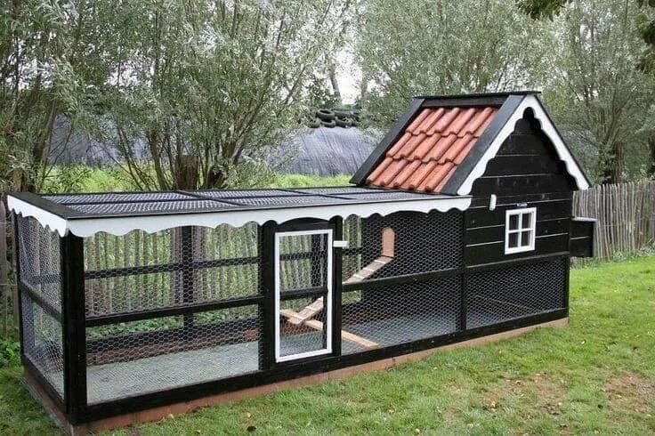 Построить курятник на даче фото 100 top idées de poulaillers pour la prise en charge de vos poulets Chicken coop