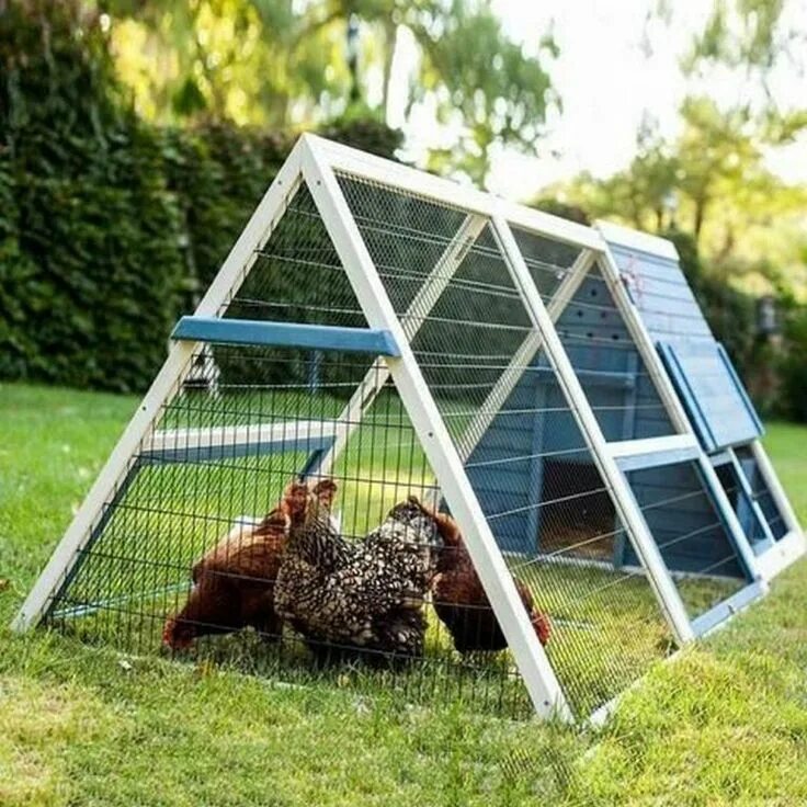 Построить курятник на даче фото DIY A-Frame Chicken Coop: 7 Steps to Effortless Chicken Care A frame chicken coo