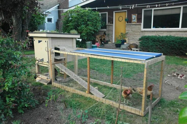 Построить курятник своими руками на даче недорого Getting Started With Backyard Chickens Backyard chicken coops, Backyard chicken 