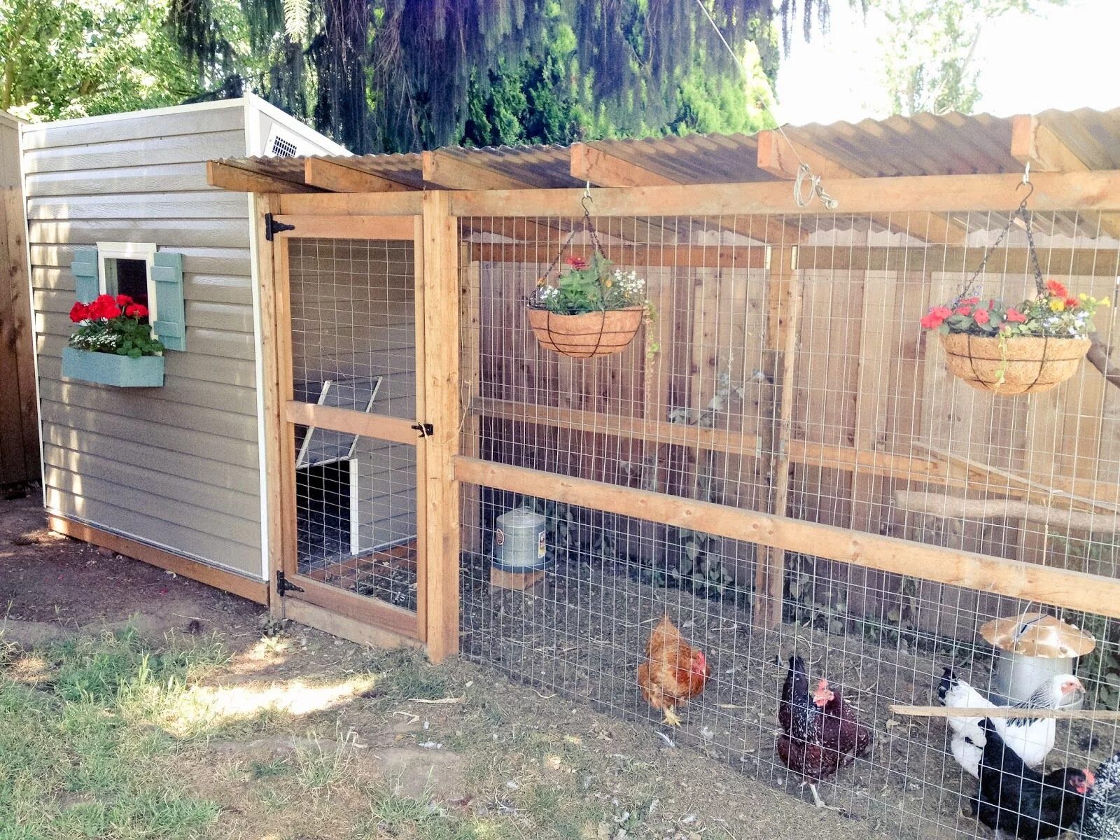 Построить курятник своими руками на даче недорого Spring Chickens Chicken garden, Backyard farming, Walk in chicken coop