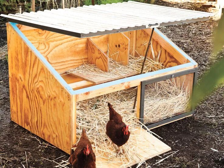 Построить курятник своими руками на даче недорого How to Build a Chicken Coop Chicken coop designs, Chicken diy, Small chicken coo