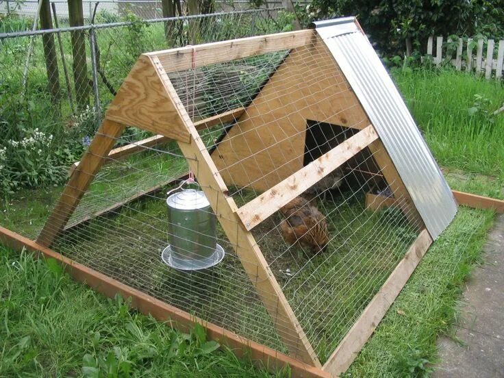 Построить курятник своими руками на даче недорого A-frame_chicken_coop,Portland_OR.JPG (JPEG Image, 1024x768 pixels) - Scaled (6 D