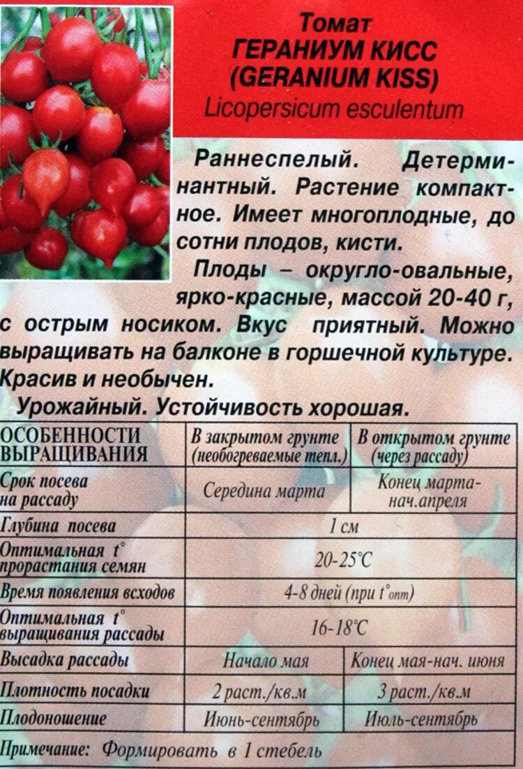 Поцелуй томат описание сорта фото Томат гераниум кисс описание сорта фото: найдено 89 изображений