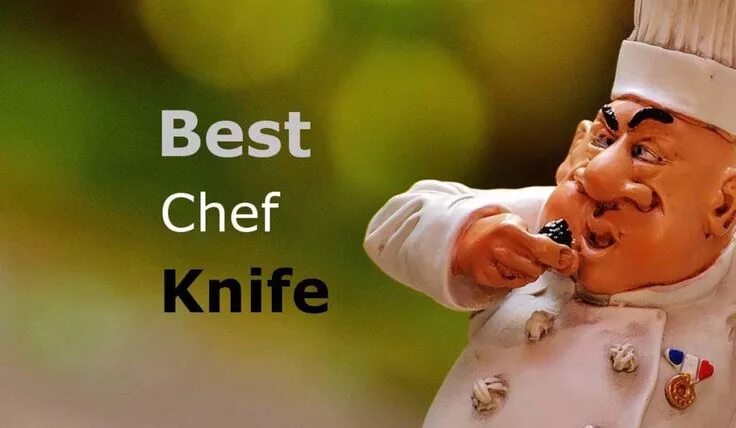 Повар смешное фото Best Chef Knife 2021 Beginner to Professional - All Knives Best chefs knife, Bes