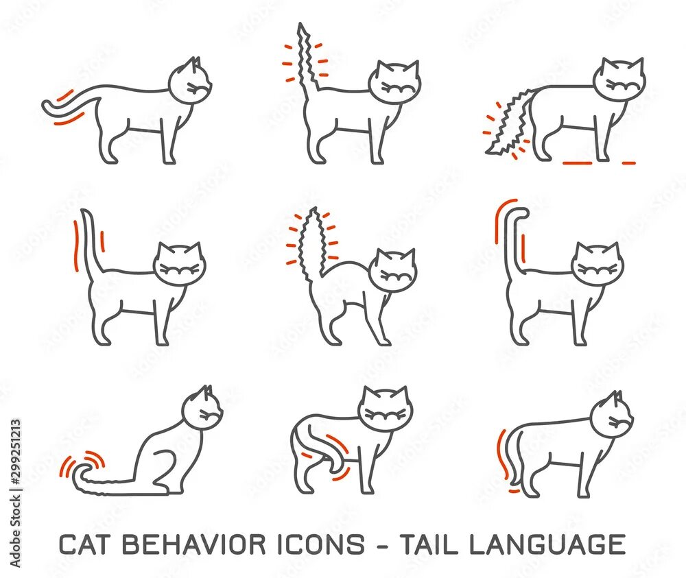 Поведение кошек фото Cat Behavior Icons Векторный объект Stock Adobe Stock