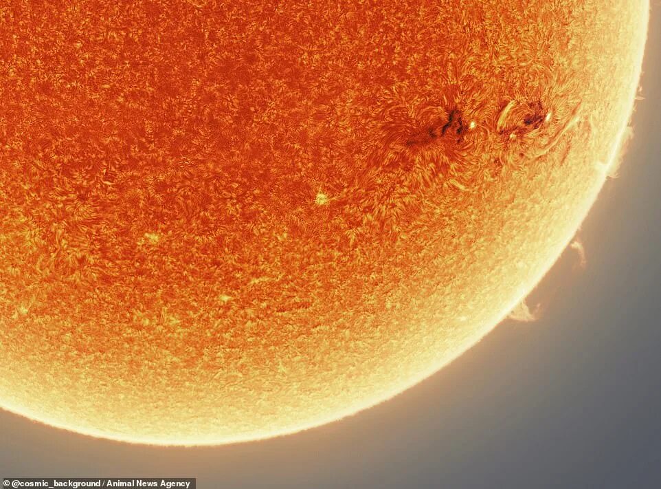 Поверхность солнца фото Astrophotographer snaps his 'clearest ever photo of the SUN' Daily Mail Online