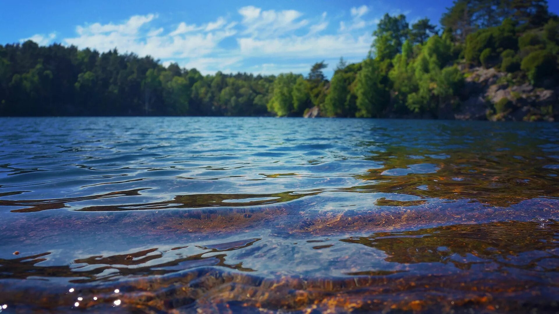 Поверхностные воды фото Wallpaper : landscape, forest, sea, bay, lake, shore, reflection, sky, river, wi