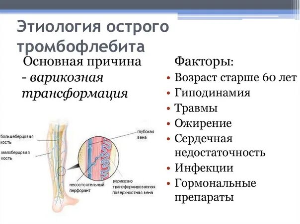 Поверхностный тромбофлебит нижних конечностей фото #амбулаторная_хирургия_зачет@otv6k Флебит этиология #амбулаторная_хирургия@otv6k