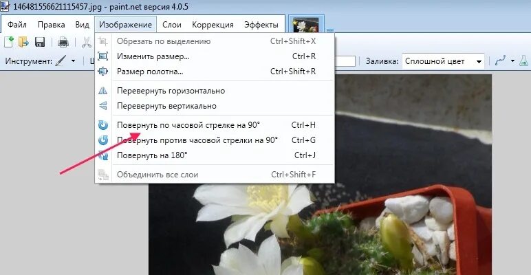 Повернуть фото на 45 Как поворачивать (переворачивать) фотографии - Форум цветоводов Фрау Флора