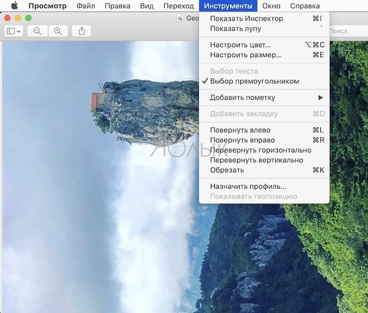 Повернуть фото на 90 Как в macOS повернуть, обрезать, изменить размеры и формат фото